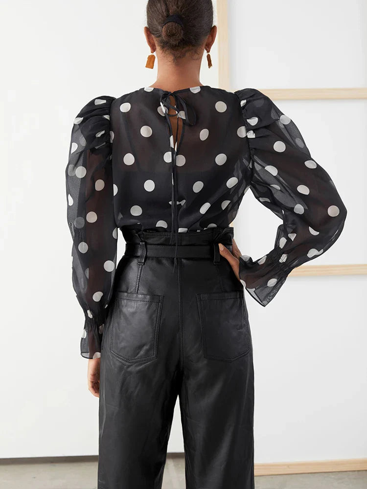 Polka Dot Chiffon Blouse | Sheer Puff Sleeve Women¡¯s Top