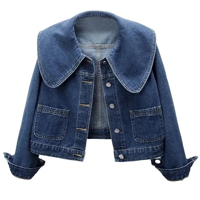 Casual Long Sleeve Denim Jacket